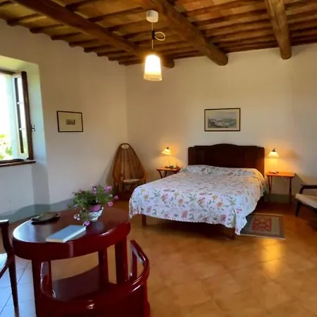 Con Ampio Giardino A Appartamento Porano